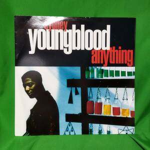 12' レコード Sydney Youngblood - Anything