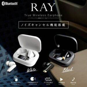 ワイヤレスイヤホン Bluetooth5.0 RAY ブラック