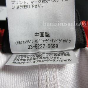 メンズ Ｌ◆未使用 定価9,680円 canterbury カンタベリー ラグビー日本代表モデル JAPAN ラグビーショーツ ラグパン 高耐久 R26506J 白の画像9