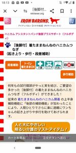 アイアンバロン　大型犬用　着たまんまねんね　後ろ脚付き　介護用ハーネス　Mサイズ