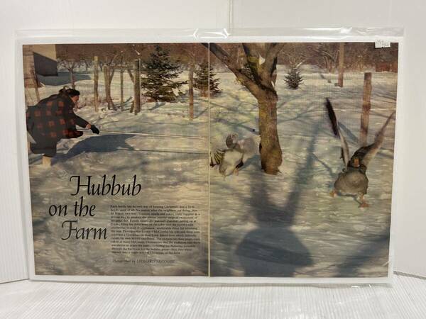 1972年12月15日号LIFE誌　広告切り抜き1ページ【Hubbub on the Farm】アメリカ買い付け品ビンテージインテリア車オシャレUSA