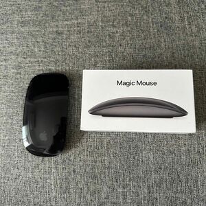 APPLE MAGIC MOUSE 2 スヘースクレイ