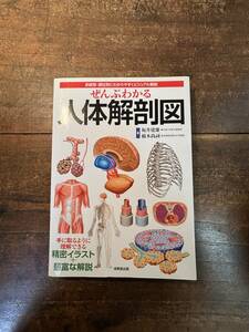 ぜんぶわかる人体解剖図　系統別・部位別にわかりやすくビジュアル解説 坂井建雄／著　橋本尚詞／著