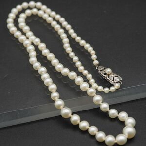 Y863 MIKIMOTO Mikimoto pearl pearl design silver necklace 6 month birthstone 