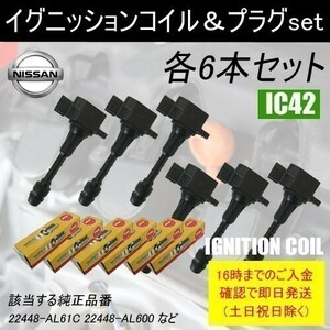 セドリック HY34 平成13年12月～平成16年10月 VQ30DD イグニッションコイル 22448-AL61C NGKスパークプラグ LFR5AQP 各6本 IC42-ng43