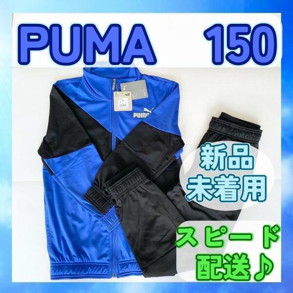 【新品未着用】PUMA プーマ ジャージ上下 150 ロイヤル①