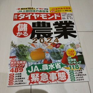 週刊ダイヤモンド 2024年5月11日号(最新号) 送料87円の画像1