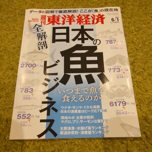 週刊東洋経済 ２０２４年６月１日号 （東洋経済新報社）送料87円