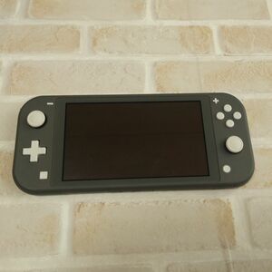 【中古・本体のみ】Nintendo Switch Lite グレー