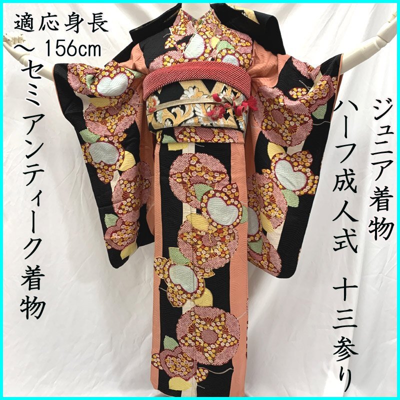 311aj64ハーフ成人式 十三参り 初釜 女児 着物&袋帯 紅型美品 311aj64ハーフ成人式 十三参り 初釜 女児 着物&袋帯 紅型美品