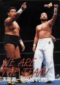 ★トレカ★BBM98プロレス★WE ARE THE TEAM!【#348 天龍＆越中】★