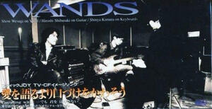 ★CDS★WANDS【愛を語るより口づけをかわそう】★