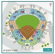 6月27日（木） 阪神甲子園球場 阪神vs中日 レフト外野指定席 2枚 連番_画像2