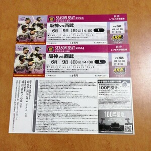 6月9日（日） 阪神甲子園球場 阪神vs西武 レフト外野指定席 2枚 連番