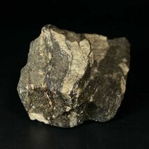 南極の石 1981年（昭和56年）1474g 香川大学保管 鉱物標本_画像2