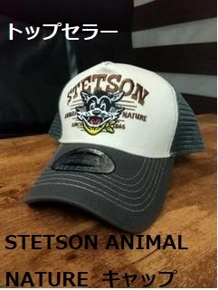 即決　新品　送料無料　ステットソン　STETSON　キャップ　US　カリフォルニア　CA　トラッカー　USA　アメリカ　