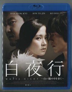 白夜行 ―白い闇の中を歩く― ／ソン・イェジン★国内正規盤Blu-ray★