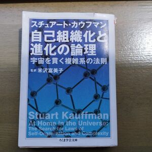 自己組織化と進化の論理 : 宇宙を貫く複雑系の法則
