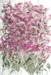  для бизнеса засушенный цветок тормозной диск nse. лист имеется розовый большая вместимость 500 листов сухой цветок декоративный элемент resin . печать 