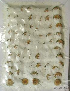  business use pressed flower no- sport white high capacity 500 sheets dry flower deco resin . seal 