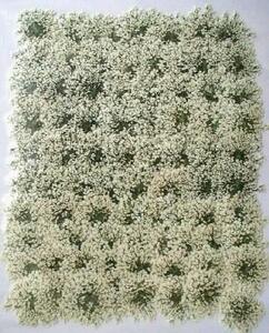  business use pressed flower race flower white high capacity 500 sheets dry flower deco resin . seal 