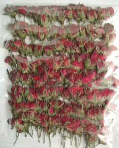  business use pressed flower mini rose . red high capacity 500 sheets dry flower deco resin . seal 