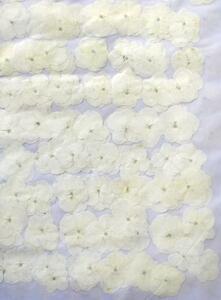  для бизнеса засушенный цветок гортензия слоновая кость окраска большая вместимость 500 листов сухой цветок декоративный элемент resin . печать 