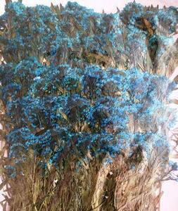  для бизнеса засушенный цветок бурачок лист имеется бледно-голубой окраска большая вместимость 500 листов сухой цветок декоративный элемент resin . печать 