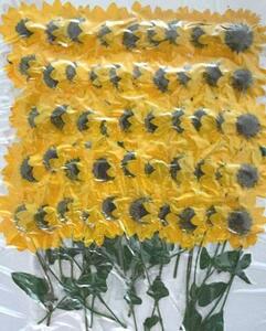 業務用 押し花素材 ミニヒマワリ　葉付　黄色２００輪 大容量 200枚ドライフラワー デコ レジン 封印