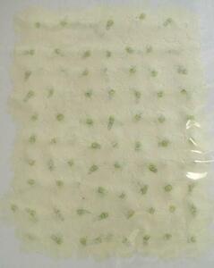  для бизнеса засушенный цветок вербена белый большая вместимость 500 листов сухой цветок декоративный элемент resin . печать 
