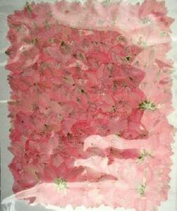 для бизнеса засушенный цветок тысяч птица . розовый большая вместимость 500 листов сухой цветок декоративный элемент resin . печать 