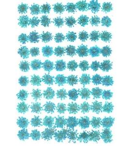  business use pressed flower race flower light blue high capacity 500 sheets dry flower deco resin . seal 