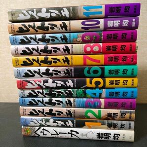 ヒストリエ 1～11巻 + ヘウレーカ（岩明均） 計12冊セット