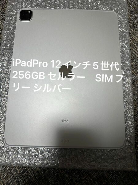 iPadPro 12.9インチ5世代 256GB セルラー　SIMフリー シルバー