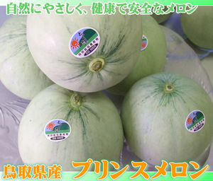 [1 jpy ~]6 month on .~ sequential shipping ] Prince melon (7-11 sphere entering :5kg degree ) Tottori production [ Tottori prefecture special cultivation certification goods ][ normal temperature ]1 box . shipping! other commodity including in a package un- possible 
