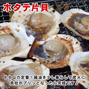 [ prompt decision ] scallop one-side .( Hokkaido production ) [ freezing ] (1 sack ×10 sheets entering )[ that exhibition two or more successful bids is including in a package is possible to do ]. length . seafood BBQ year-end gift Bon Festival gift gift 