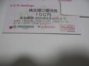 USM( maru etsu* rental mi) stockholder hospitality discount ticket 2000 jpy minute / including carriage 