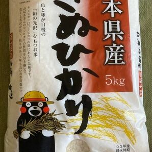 【令和５年産】 熊本県産 キヌヒカリ 20kg