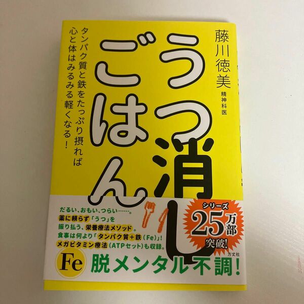 うつ消しごはん　タンパク質と鉄をたっぷり摂れば心と体はみるみる軽くなる！ 藤川徳美／著