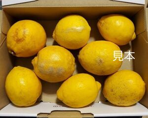 広島呉産、減農薬レモン、わけありパケット