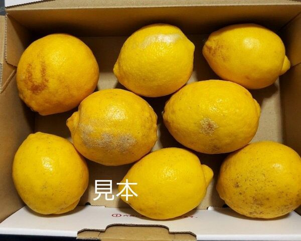 広島呉産、減農薬レモン、パケット