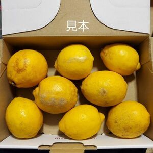 広島呉産、減農薬レモン、わけありパケット