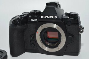 ★極上品★ オリンパス OLYMPUS E-M1