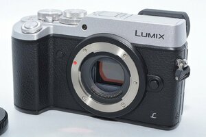 LUMIX GX8 DMC-GX8-S ボディ （シルバー）