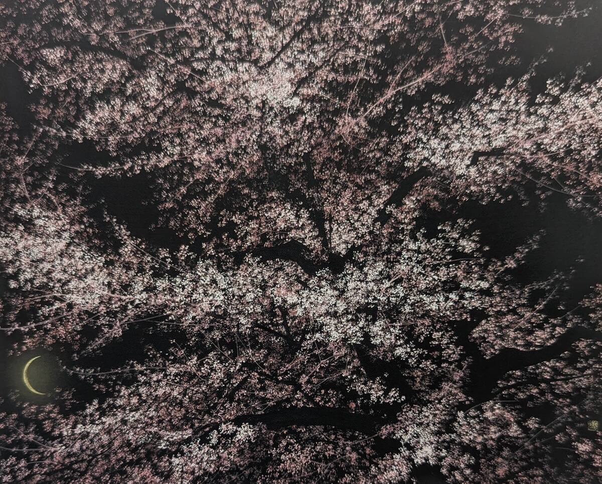 Hiroshi Senju, [Mondblumenbankett], Aus einer seltenen Sammlung von Rahmenkunst, Sorgfältig ausgewählt, Neu gerahmt, Mattes Gestell inklusive, In guter Kondition, Malerei, Ölgemälde, Natur, Landschaftsmalerei
