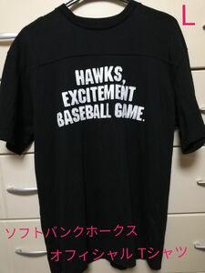 レア　入手困難　福岡ソフトバンクホークス　メンズ　Tシャツ　L　黒　ブラック　生産販売終了品　希少