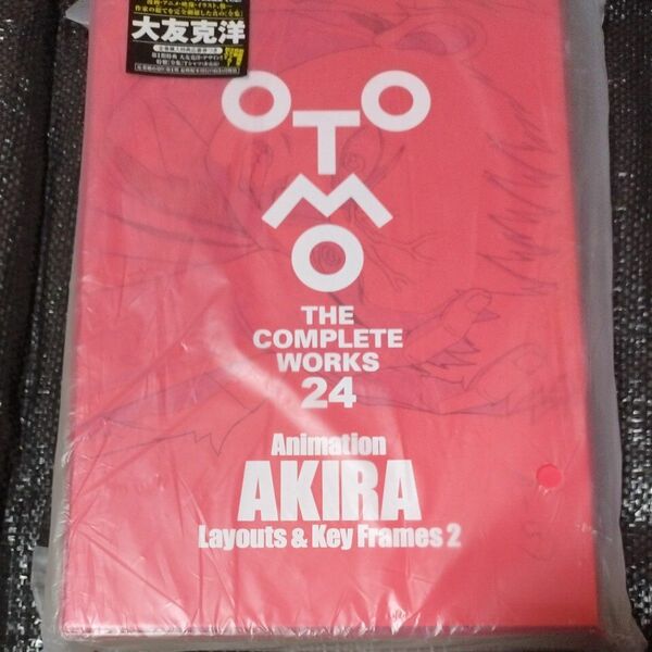 アキラ THE COMPLETE WORKS 24 Animation AKIRA Layous&Key Frames2 未開封品