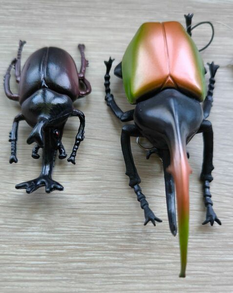 ★新品★生物図鑑　リアルカブトムシ　