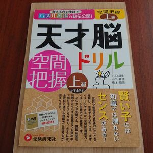 考える力を伸ばすパズル道場の秘伝公開! 天才脳ドリル 空間把握 上級 賢い子に…