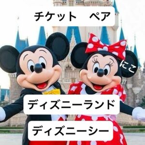 ディズニー　チケット　ペア